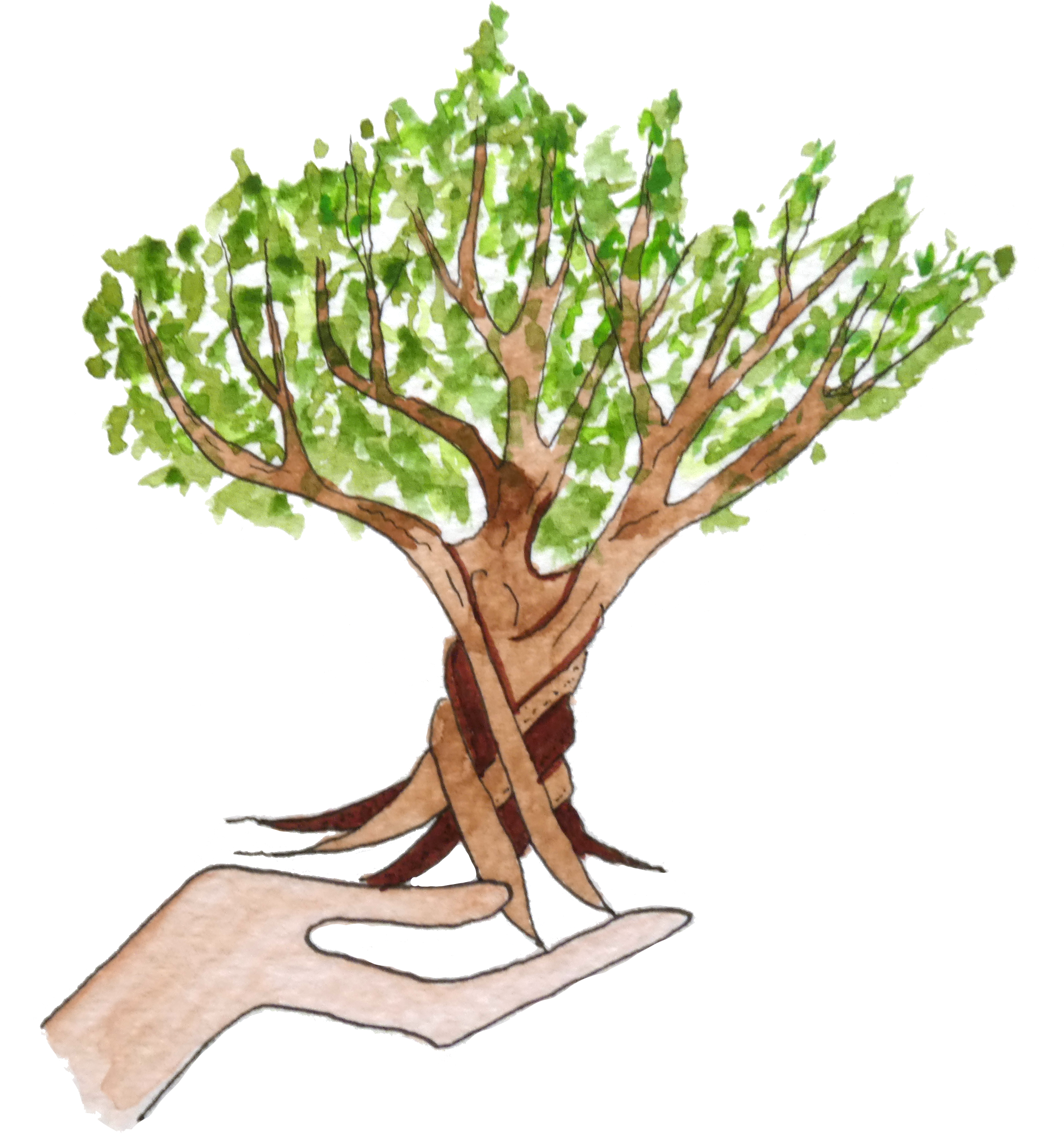 arbre copie